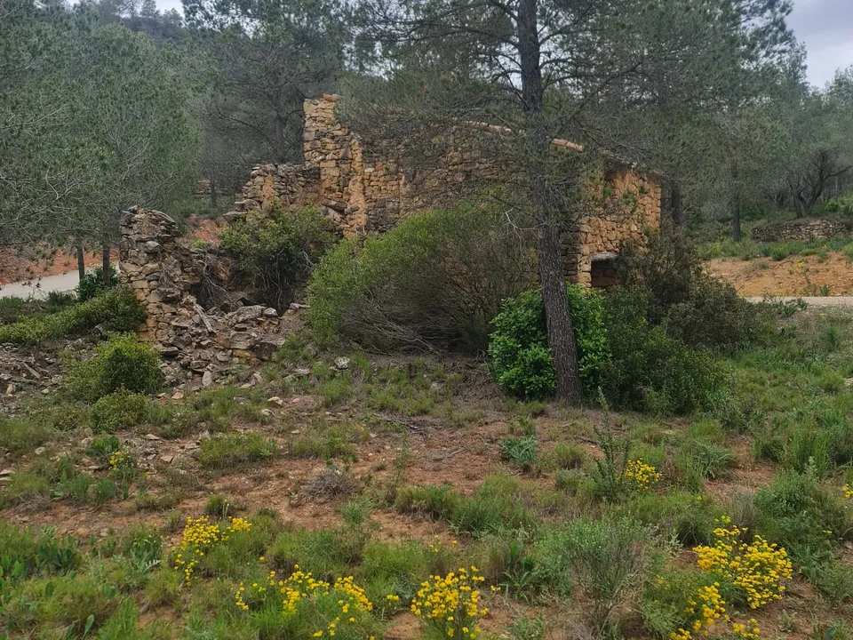 Landejendom i Asco, Tarragona - foto 3